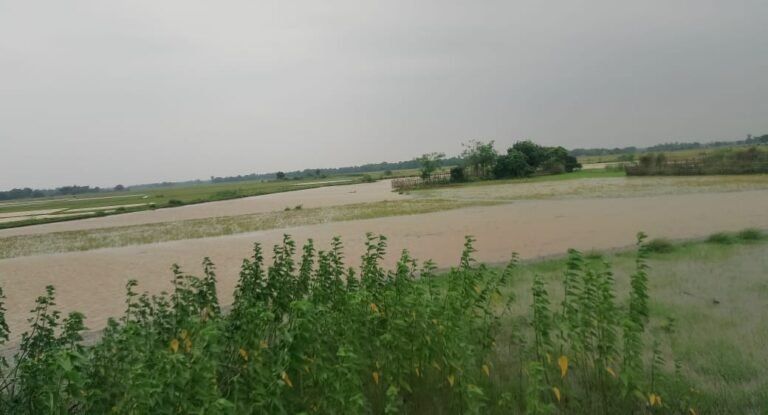 IMG-20250701-WA0059