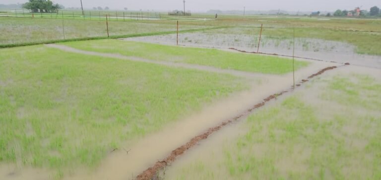 IMG-20250712-WA0102(1)