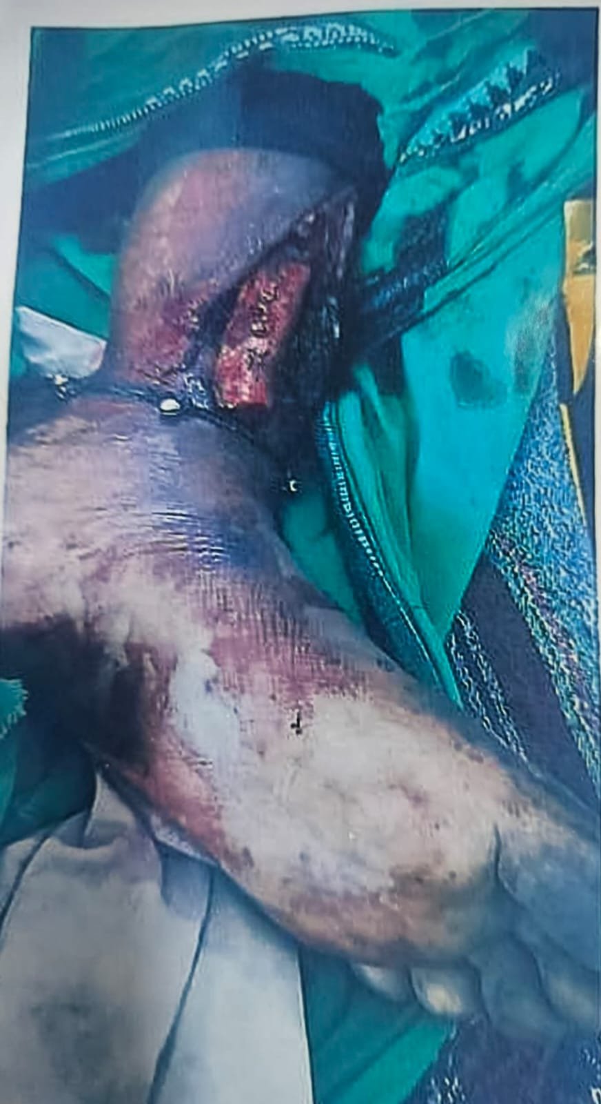 IMG-20250725-WA0079(1)