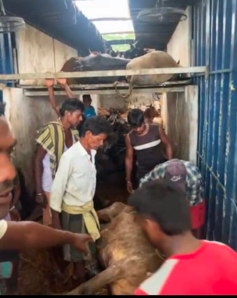 Screenshot_20250902_223628