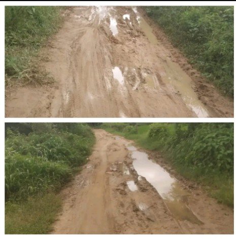 Screenshot_2025_0925_134547