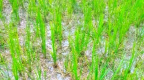 Screenshot_2025_0925_202918