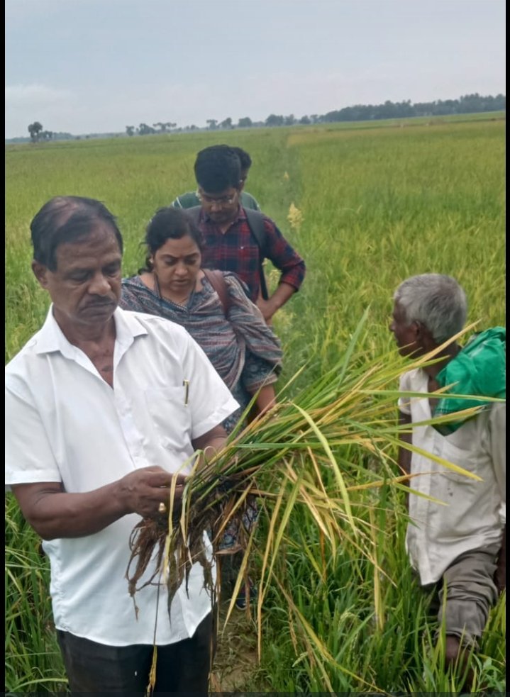 Screenshot_2025-10-14-07-29-27-64_6012fa4d4ddec268fc5c7112cbb265e7