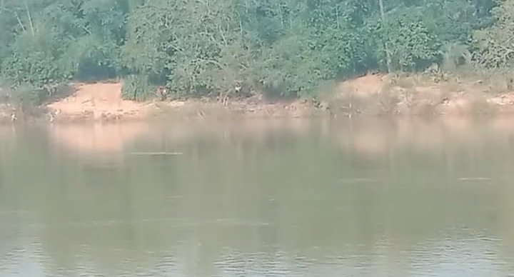 Screenshot_2025-10-25-13-20-47-72_6012fa4d4ddec268fc5c7112cbb265e7