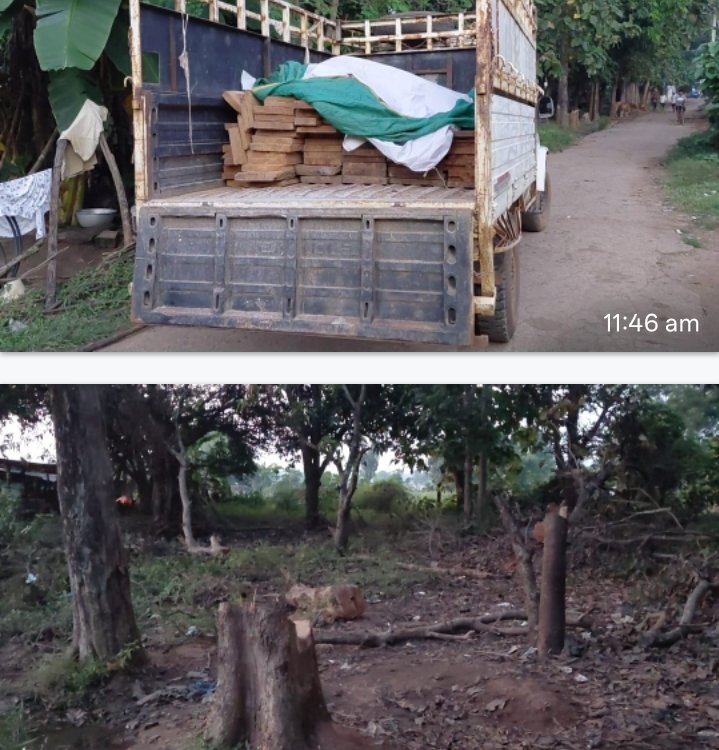 Screenshot_2025-10-26-11-57-14-88_6012fa4d4ddec268fc5c7112cbb265e7