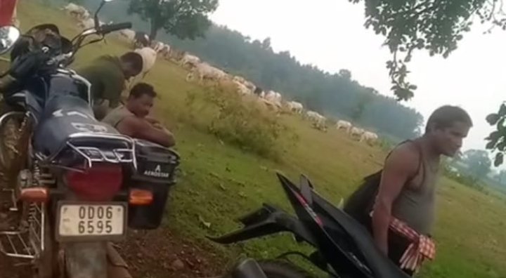 Screenshot_2025-10-26-11-58-20-36_6012fa4d4ddec268fc5c7112cbb265e7