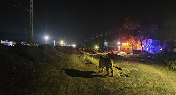 Screenshot_2025-10-29-11-19-31-84_6012fa4d4ddec268fc5c7112cbb265e7