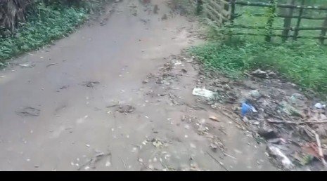 Screenshot_2025_1001_114042