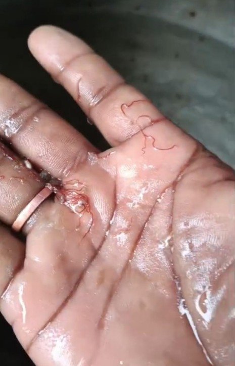 Screenshot_2025_1007_113811