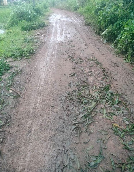 Screenshot_2025_1008_172904