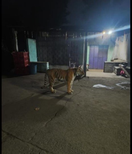 Screenshot_2025_1008_205034