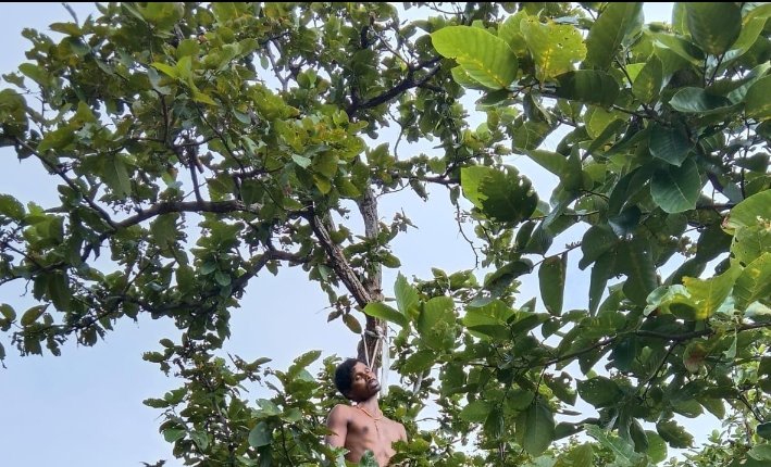 Screenshot_2025-11-01-11-40-04-09_6012fa4d4ddec268fc5c7112cbb265e7