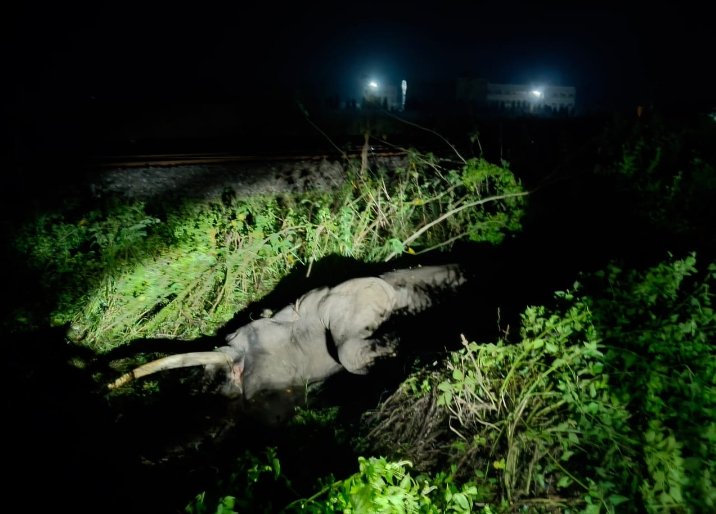 Screenshot_2025-11-02-11-02-02-20_6012fa4d4ddec268fc5c7112cbb265e7