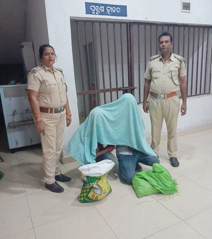 Screenshot_2025-11-06-19-37-00-46_6012fa4d4ddec268fc5c7112cbb265e7