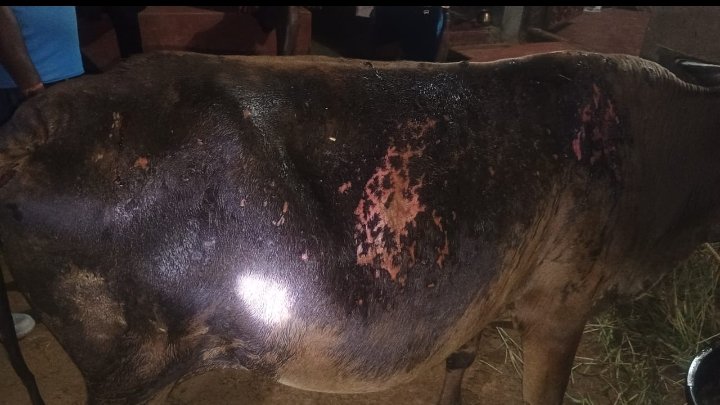 Screenshot_2025-11-09-20-58-42-14_6012fa4d4ddec268fc5c7112cbb265e7