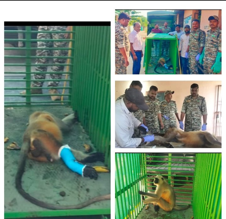 Screenshot_2025-11-20-17-50-00-46_6012fa4d4ddec268fc5c7112cbb265e7