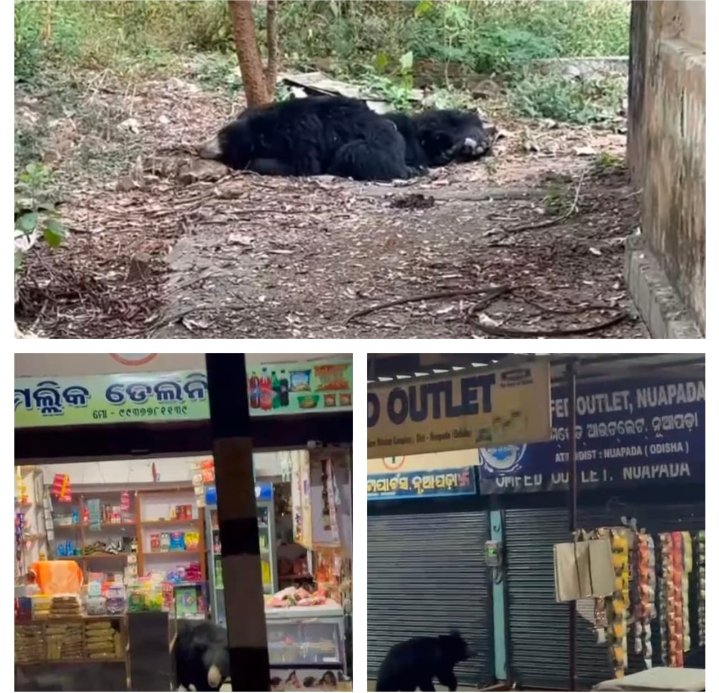 Screenshot_2025-11-28-17-55-06-50_6012fa4d4ddec268fc5c7112cbb265e7