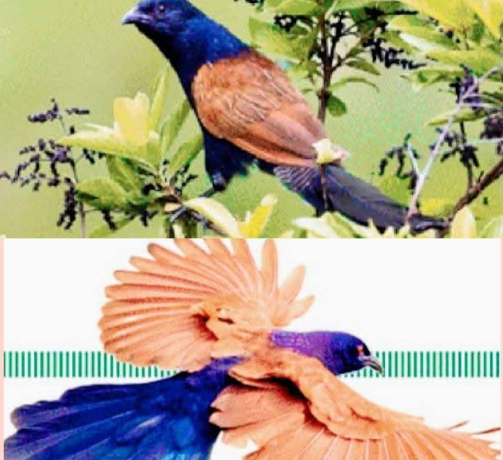 Screenshot_2025-11-30-21-57-45-47_6012fa4d4ddec268fc5c7112cbb265e7