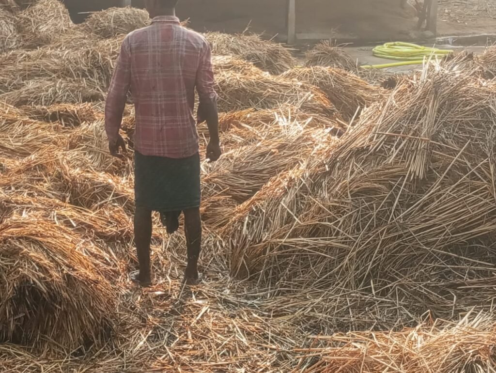 IMG-20251227-WA0253(1)