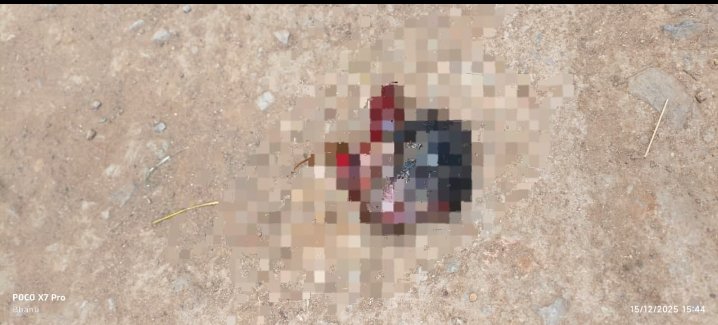 Screenshot_2025-12-16-17-25-51-85_6012fa4d4ddec268fc5c7112cbb265e7