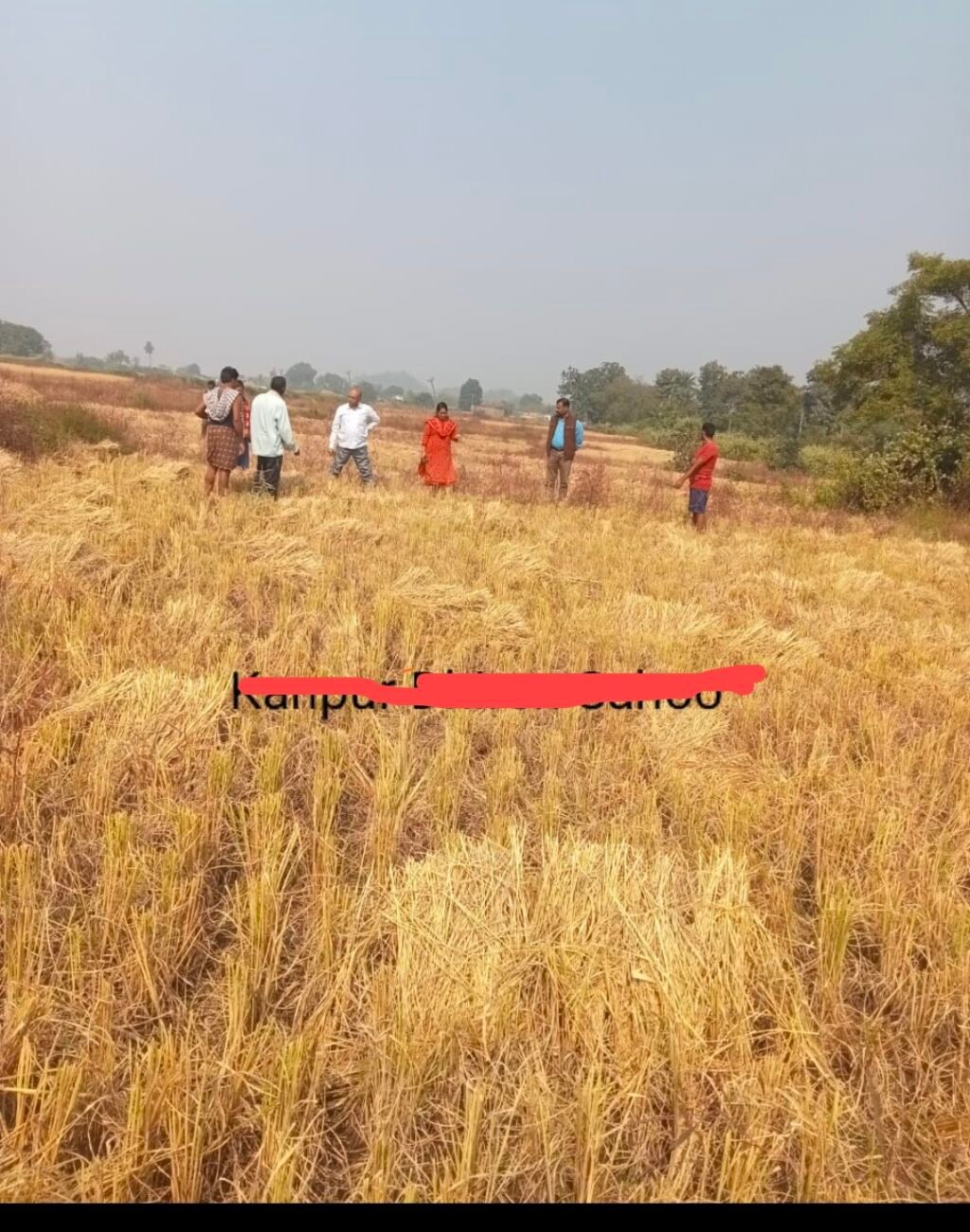 Screenshot_20251225_144424