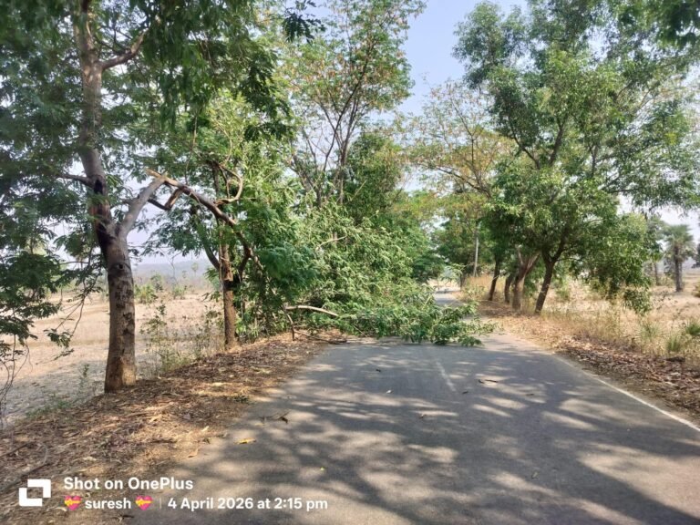 IMG-20260404-WA0057(1)