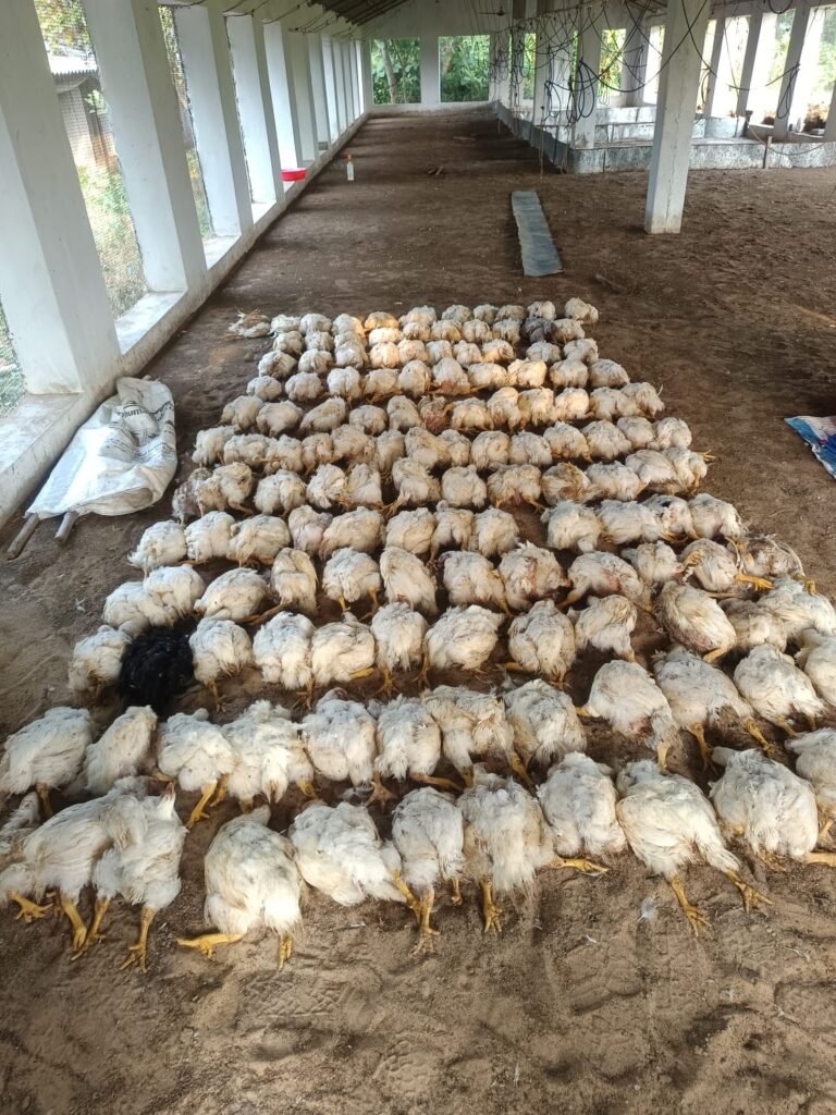 IMG-20260523-WA0000
