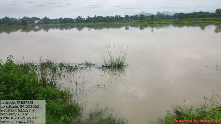 IMG-20260810-WA0198